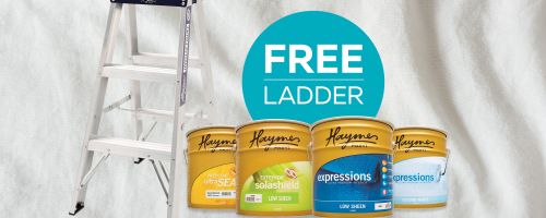 FREE LADDER promo for the TRADIES ends Oct 8th!